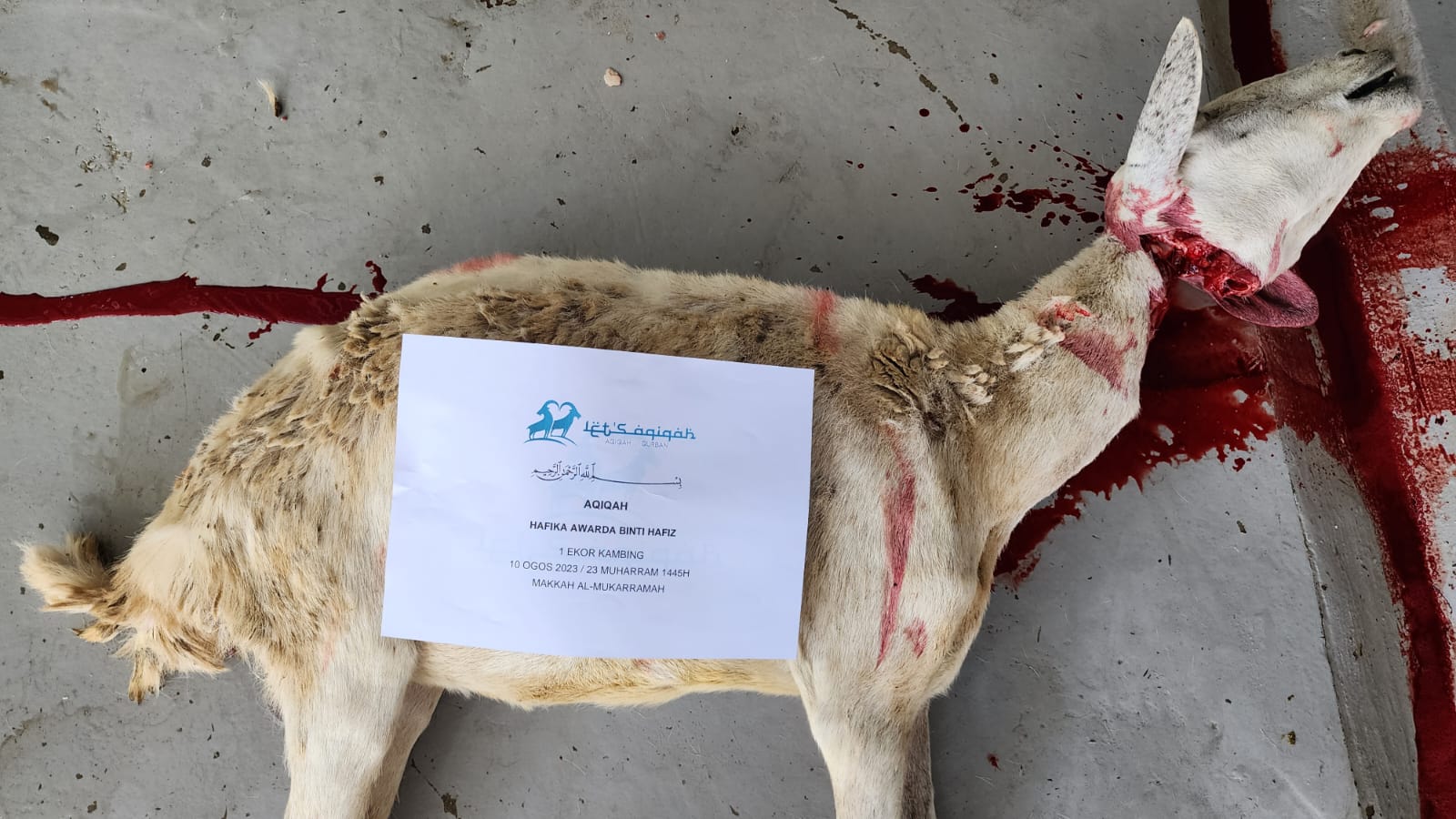 Aqiqah 5 Januari 2024