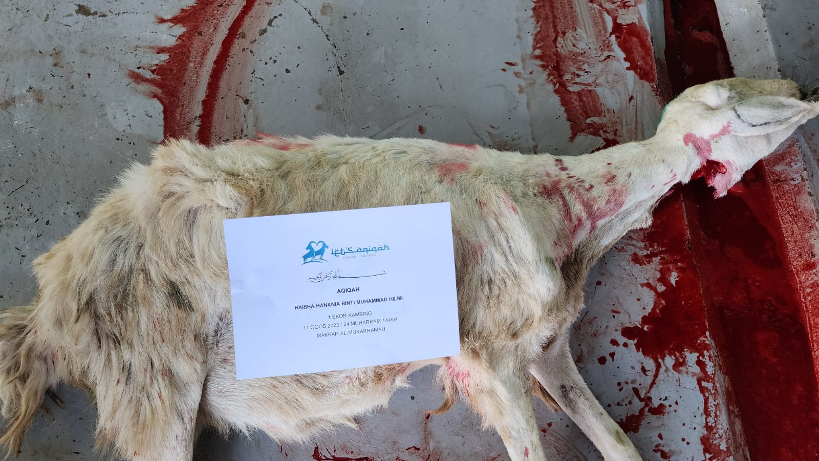 Aqiqah 7 Januari 2024